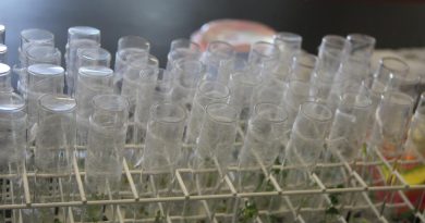 NGT : état des négociations en trilogue sur la transition énergétique