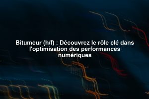 Bitumeur (h/f) : Découvrez le rôle clé dans l'optimisation des performances numériques