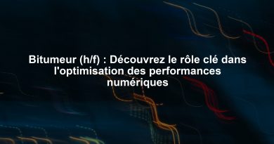 Bitumeur (h/f) : Découvrez le rôle clé dans l'optimisation des performances numériques