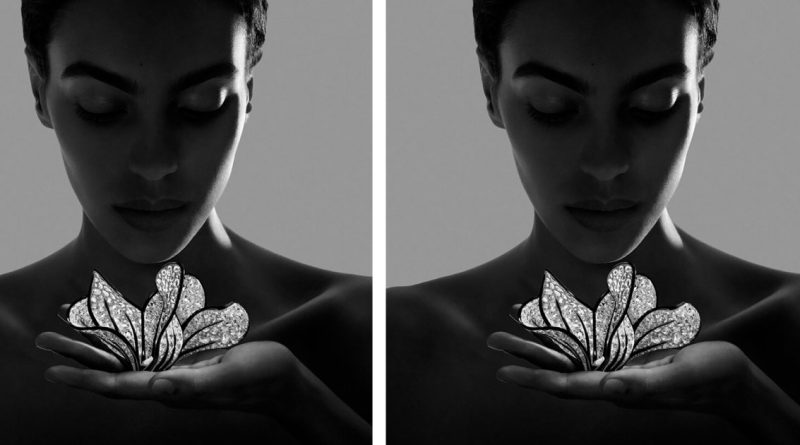 Boucheron dévoile "Impermanence", six créations végétales de sa collection de haute joaillerie.