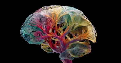 Une carte révolutionnaire dévoile le fonctionnement réel du cerveau.