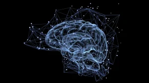 Pourquoi certains souvenirs durent toute une vie tandis que d'autres s'effacent rapidement