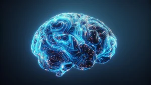 Des scientifiques découvrent un mécanisme hormonal caché pour améliorer l'apprentissage.