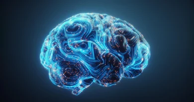 Des scientifiques découvrent un mécanisme hormonal caché pour améliorer l'apprentissage.