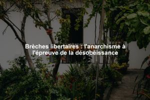 Brèches libertaires : l'anarchisme à l'épreuve de la désobéissance
