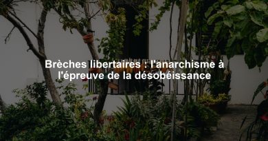 Brèches libertaires : l'anarchisme à l'épreuve de la désobéissance