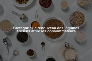 Bretagne : Le renouveau des légumes anciens attire les consommateurs