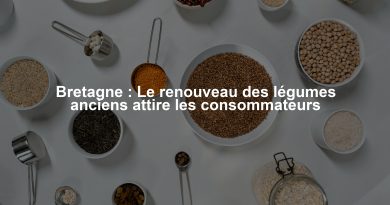 Bretagne : Le renouveau des légumes anciens attire les consommateurs