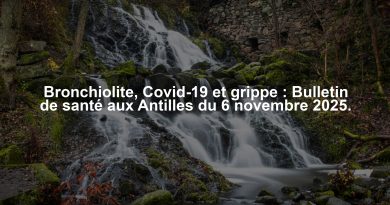 Bronchiolite, Covid-19 et grippe : Bulletin de santé aux Antilles du 6 novembre 2025.