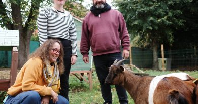 Eure : deux chèvres retrouvées mortes après un empoisonnement dans une mini-ferme pédagogique