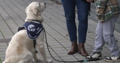 Utah, le chien qui aide à soigner des enfants autistes dans un hôpital