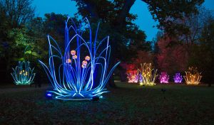 Animations de Noël à Brest : marché, illuminations et programme détaillé des événements