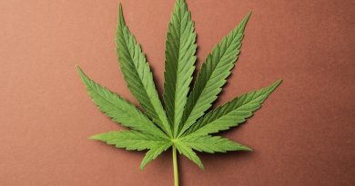 Comprendre le CBD : définition et enjeux pour les jeunes | Fil santé jeunes