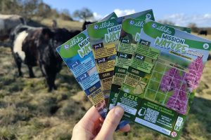 Vaches, chevaux et ânes préservent les pelouses calcaires de Bourgogne grâce à Mission nature