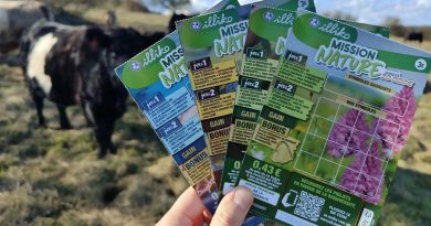 Vaches, chevaux et ânes préservent les pelouses calcaires de Bourgogne grâce à Mission nature