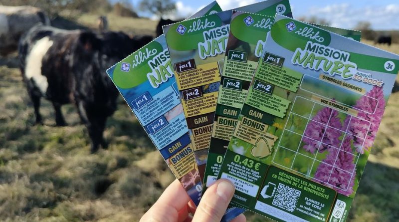 Vaches, chevaux et ânes préservent les pelouses calcaires de Bourgogne grâce à Mission nature