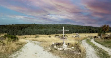 Fréquentation record attendue sur les chemins de Saint-Jacques-de-Compostelle