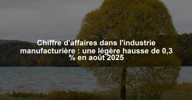Chiffre d'affaires dans l'industrie manufacturière : une légère hausse de 0,3 % en août 2025