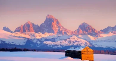 Normandie sous choc : cette “neige rose” apparue soudainement intrigue toute la région