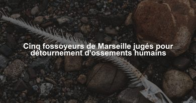 Cinq fossoyeurs de Marseille jugés pour détournement d'ossements humains