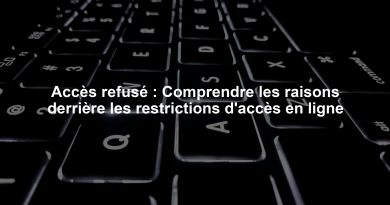 Accès refusé : Comprendre les raisons derrière les restrictions d'accès en ligne