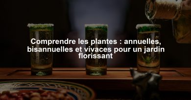 Comprendre les plantes : annuelles, bisannuelles et vivaces pour un jardin florissant