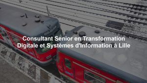Consultant Senior en Transformation Digitale et Systèmes d'Information à Lille