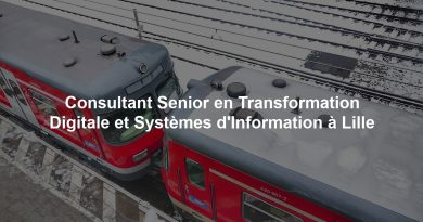 Consultant Senior en Transformation Digitale et Systèmes d'Information à Lille