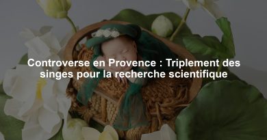 Controverse en Provence : Triplement des singes pour la recherche scientifique