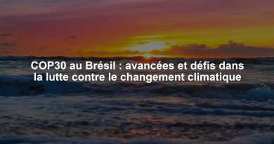 COP30 au Brésil : avancées et défis dans la lutte contre le changement climatique