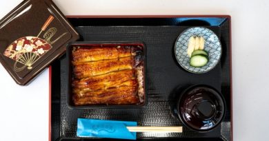 Un plat japonnais à base d