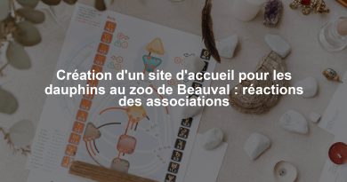 Création d'un site d'accueil pour les dauphins au zoo de Beauval : réactions des associations