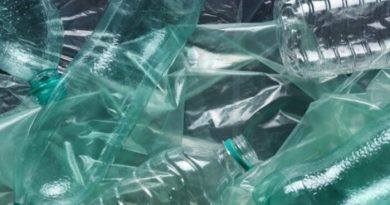 credit aalok soni baseimage