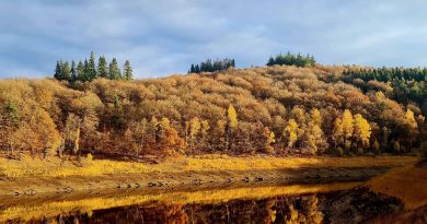 Météo en Belgique : un dimanche ensoleillé après la grisaille selon RTBF Actus