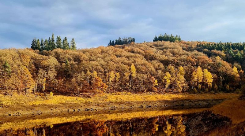 Météo en Belgique : un dimanche ensoleillé après la grisaille selon RTBF Actus