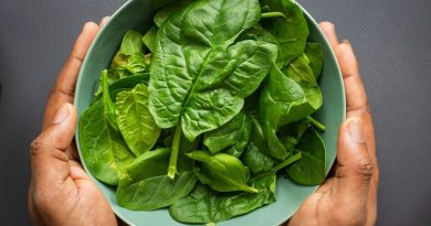 Epinards et fer : réalité ou mythe ? Analyse des faits - RTBF Actus