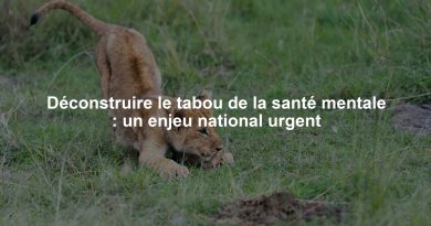 Déconstruire le tabou de la santé mentale : un enjeu national urgent
