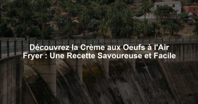 Découvrez la Crème aux Oeufs à l'Air Fryer : Une Recette Savoureuse et Facile