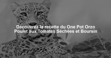 Découvrez la recette du One Pot Orzo Poulet aux Tomates Séchées et Boursin
