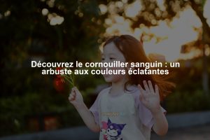 Découvrez le cornouiller sanguin : un arbuste aux couleurs éclatantes