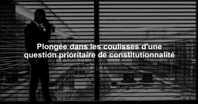 Plongée dans les coulisses d'une question prioritaire de constitutionnalité