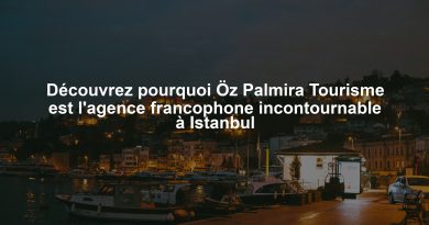 Découvrez pourquoi Öz Palmira Tourisme est l'agence francophone incontournable à Istanbul