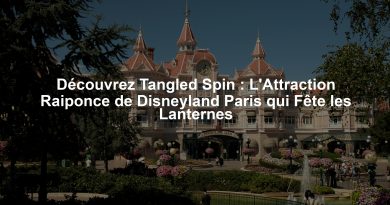 Découvrez Tangled Spin : L'Attraction Raiponce de Disneyland Paris qui Fête les Lanternes