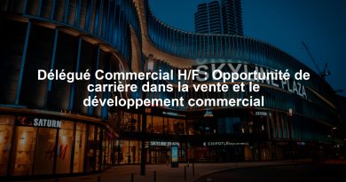 Délégué Commercial H/F : Opportunité de carrière dans la vente et le développement commercial