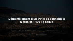 Démantèlement d'un trafic de cannabis à Marseille : 400 kg saisis