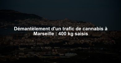 Démantèlement d'un trafic de cannabis à Marseille : 400 kg saisis