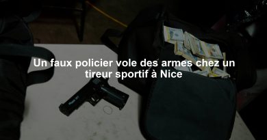 Un faux policier vole des armes chez un tireur sportif à Nice