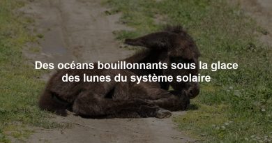 Des océans bouillonnants sous la glace des lunes du système solaire