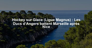 Hockey sur Glace (Ligue Magnus) : Les Ducs d’Angers battent Marseille après Nice
