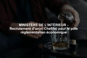 MINISTÈRE DE L'INTÉRIEUR - Recrutement d'un(e) Chef(fe) pour le pôle réglementation économique